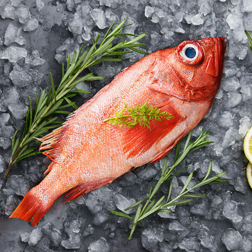 「美味烹饪：红石斑鱼的口感体验」
