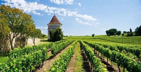 全球著名优质葡萄酒产区都有一个_世界六大葡萄酒产区
