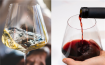 你认为的红葡萄酒和白葡萄酒，它们之间的区别不仅是价格和颜色！